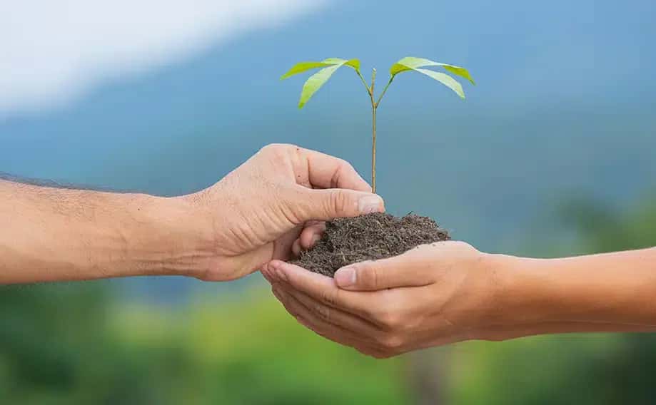 نقش مطلوب پدر در ازدواج فرزند