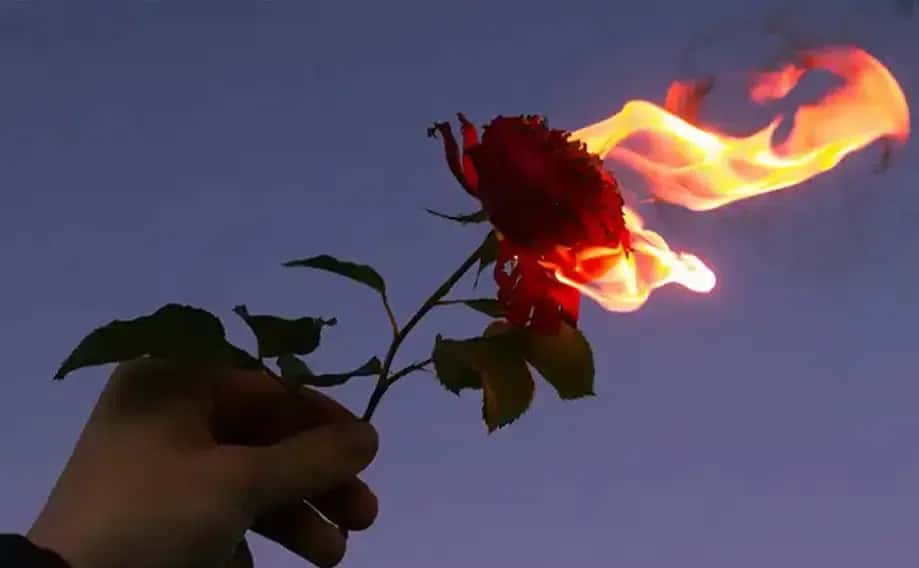 عشق آتشین در ازدواج